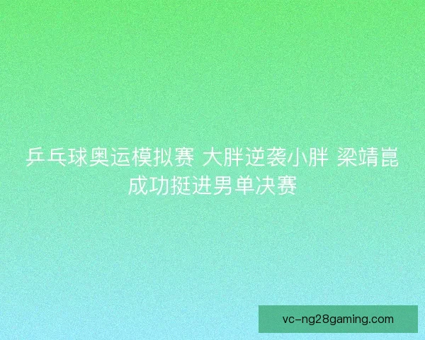 乒乓球奥运模拟赛 大胖逆袭小胖 梁靖崑成功挺进男单决赛 乒乓球奥运模拟赛 大胖逆袭小胖 梁靖崑成功挺进男单决赛